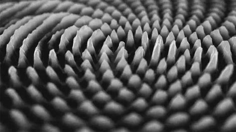 20 Hz, red. Joe Gerhardt, Ruth Jarman