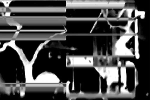 <em>Accidental Memory Fields</em>, red. Krunoslav Ptičar