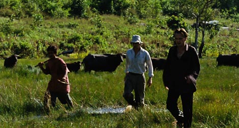 Almayerova ludorija (La Folie Almayer), red. Chantal Akerman