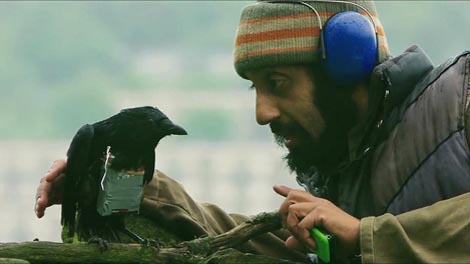 Četiri lava (Four Lions), red. Christopher Morris