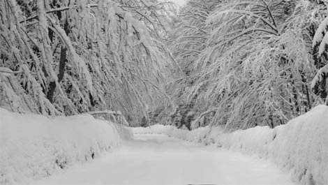 Iza lica zrcala, red. Katarina Zrinka Matijević