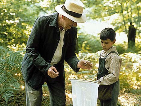 Jezik leptira (La lengua de las mariposas), José Luis Cuerda
