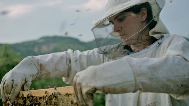 <em>Košnica</em>, red. Blerta Basholli