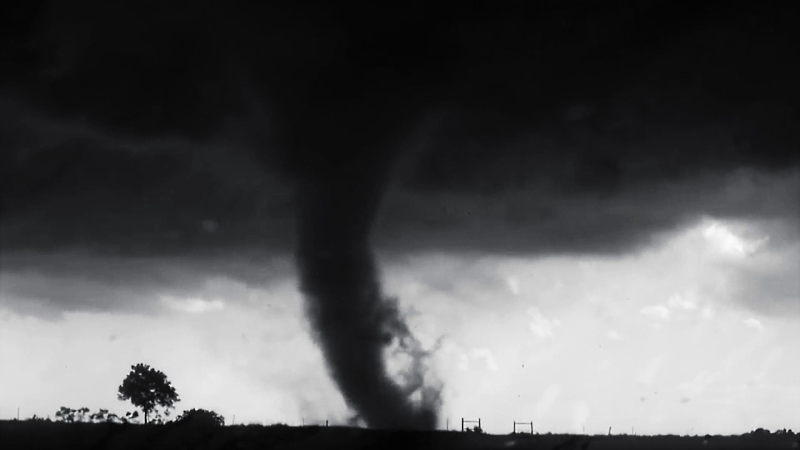 <em>La nature</em>, red. Artavazd Pelešjan, Francuska, Njemačka, Armenija, 2019.