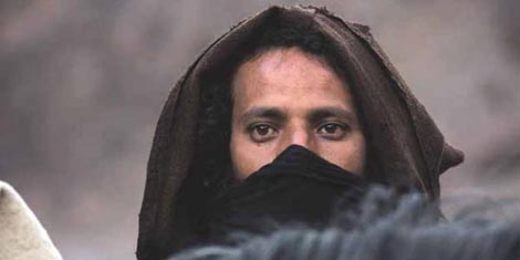 Mimoza (Mimosas), red. Oliver Lax