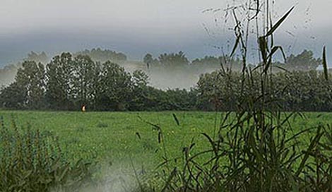 Mjesto koje stiže, Flatform 