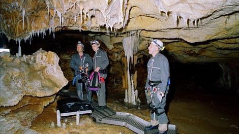 Pećina zaboravljenih snova (Cave Of Forgotten Dreams), red. Werner Herzog 