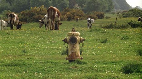 Robinzon u ruševinama (Robinson in Ruins), red. Patrick Keiller