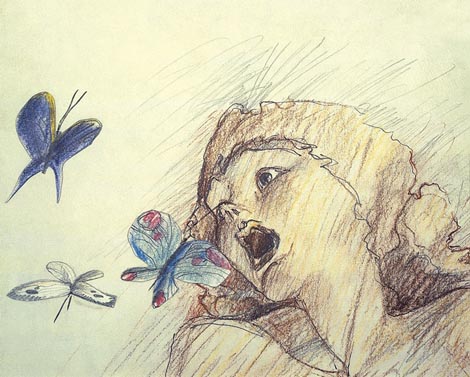 Satiemania, red. Zdenko Gašparović