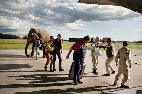 Stogodišnjak koji se spustio kroz prozor i nestao (Hundraåringen som klev ut genom fönstret och försvann), red. Felix Herngren