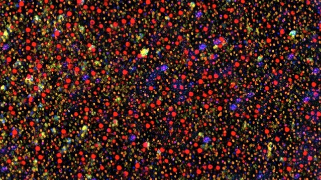 <em>There Must Be Some Kind of Way Out of Here</em> (<em>Mora postojati neki izlaz odavde</em>), red. Rainer Kohlberger