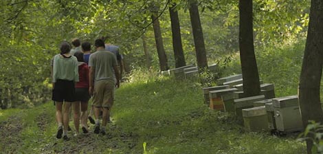 Vrlo kratki izlet, red. Igor Bezinović