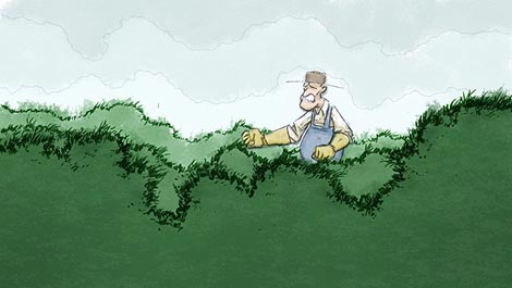 Živica, red. Zoran Mužić