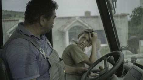 Zvir Miroslava Sikavice 