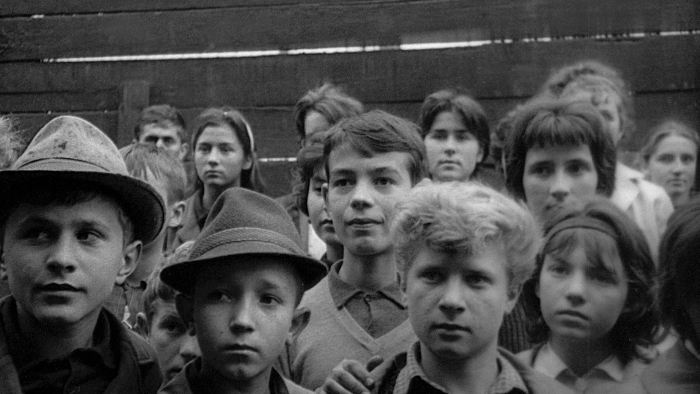 <em>Čovek nije tica</em>, red. Dušan Makavejev