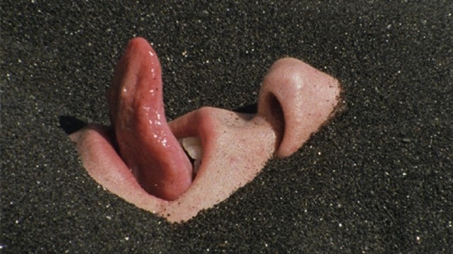 <em>Sezmička forma</em> (<em>Die seismische Forme</em>), red. Antoinette Zwirchmayr