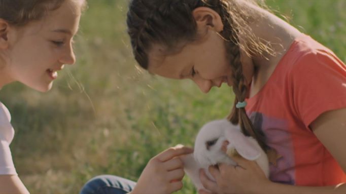 <em>Zeko</em>, red. Čejen Černić